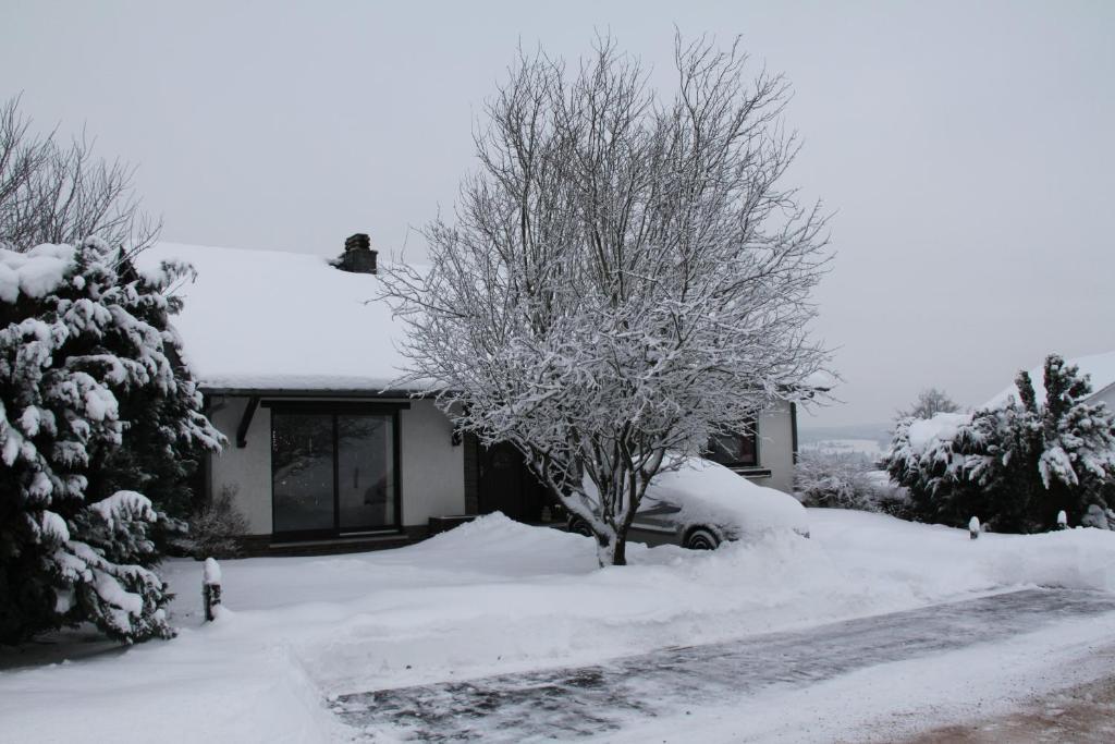 B&B Sol Magnus Stavelot Exterior foto
