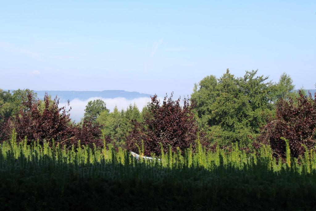 B&B Sol Magnus Stavelot Exterior foto